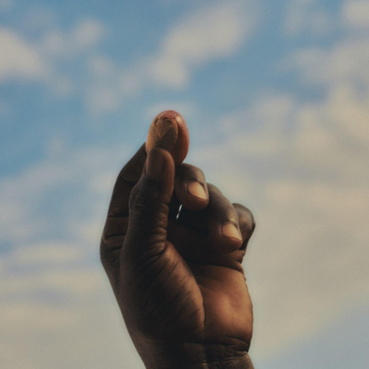 Crema de Manos Karité Rosa