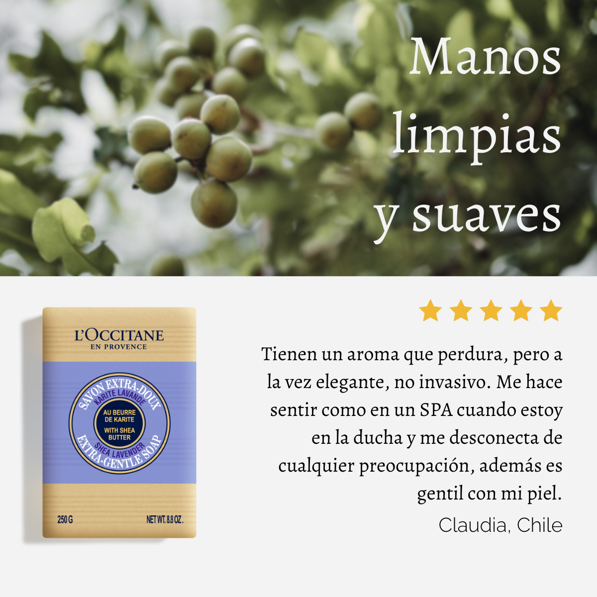 Jabón Sólido Karité Lavanda