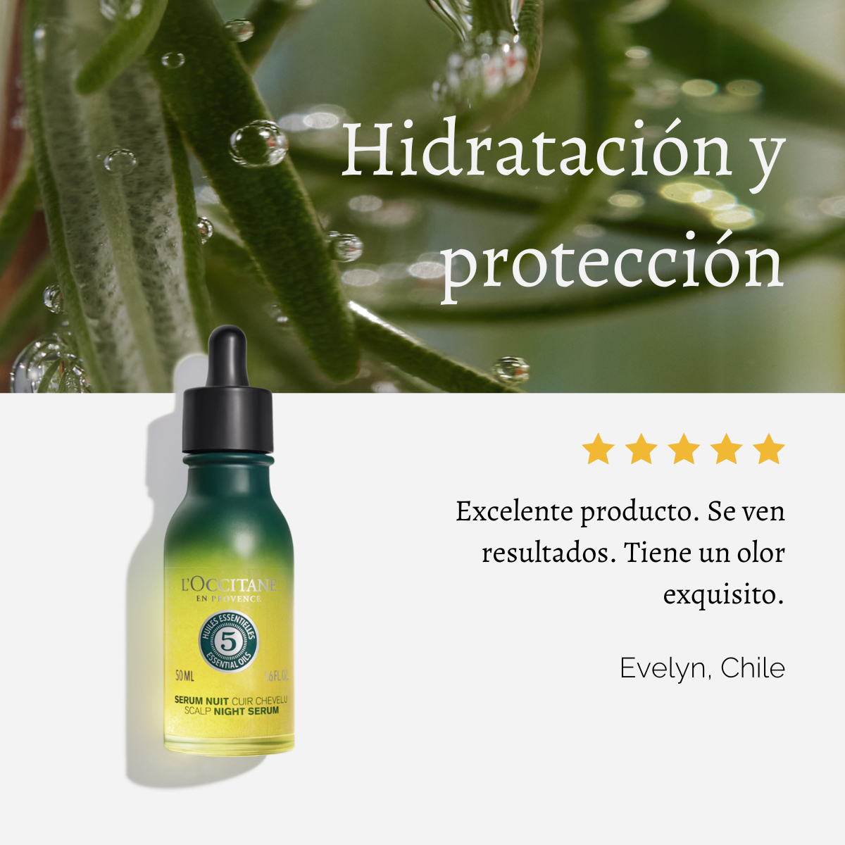 Serum Capilar Hidratante Nocturno