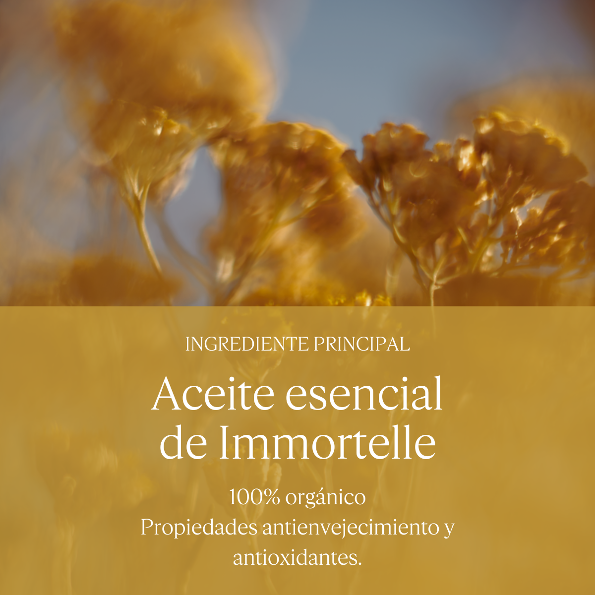 Crema Facial Antiedad Divina Immortelle