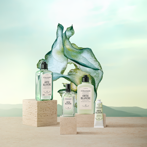 Crema de Manos Ortie Blanche