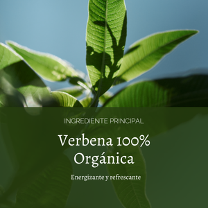 Acondicionador Verbena Citrus