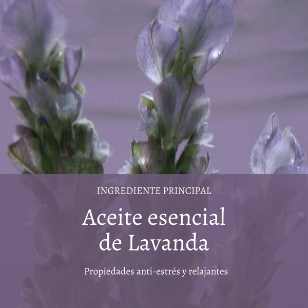 Gel de Ducha Lavanda Blanca