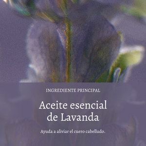 Sérum Capilar Hidratante Nocturno