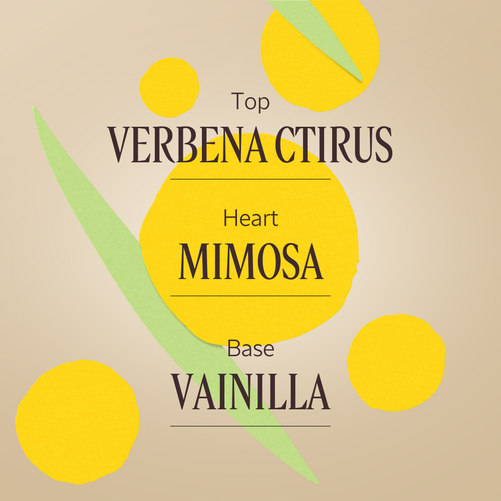 Notas Olfativas Verbena Mimosa