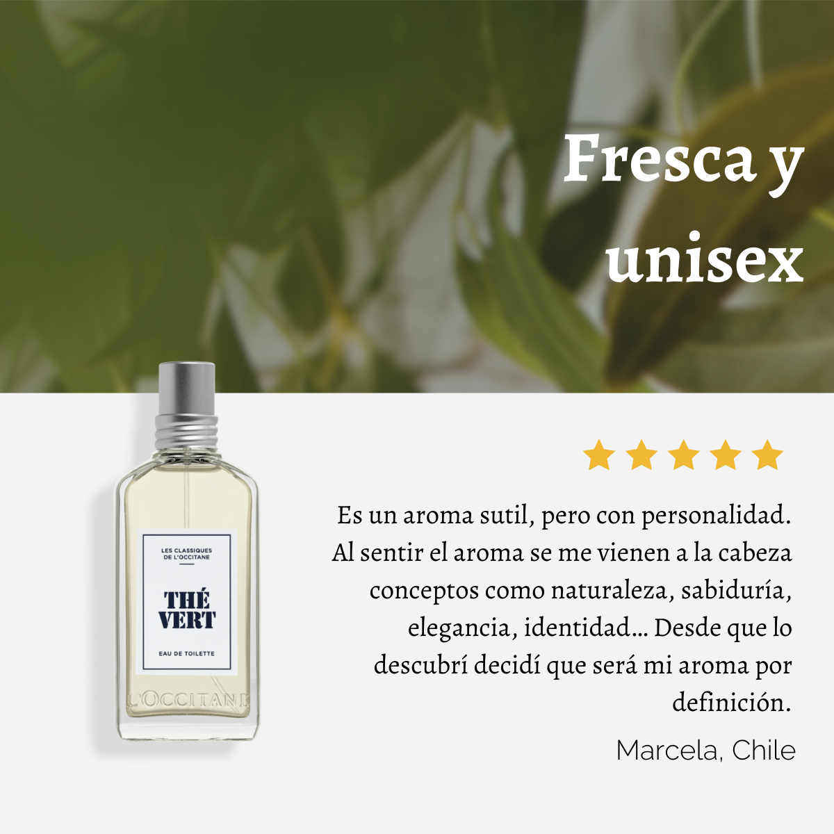 Eau de Toilette Té Verde