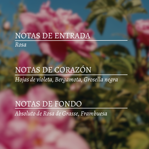 Eau de Toilette Rosas y Reinas