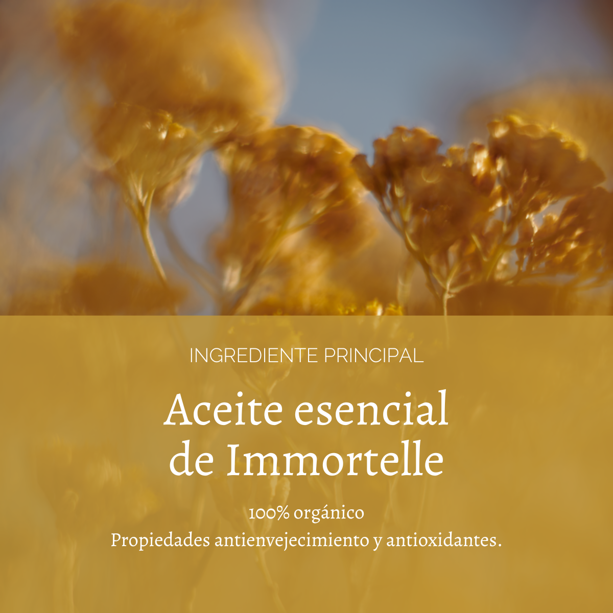 Crema Facial Divina Immortelle