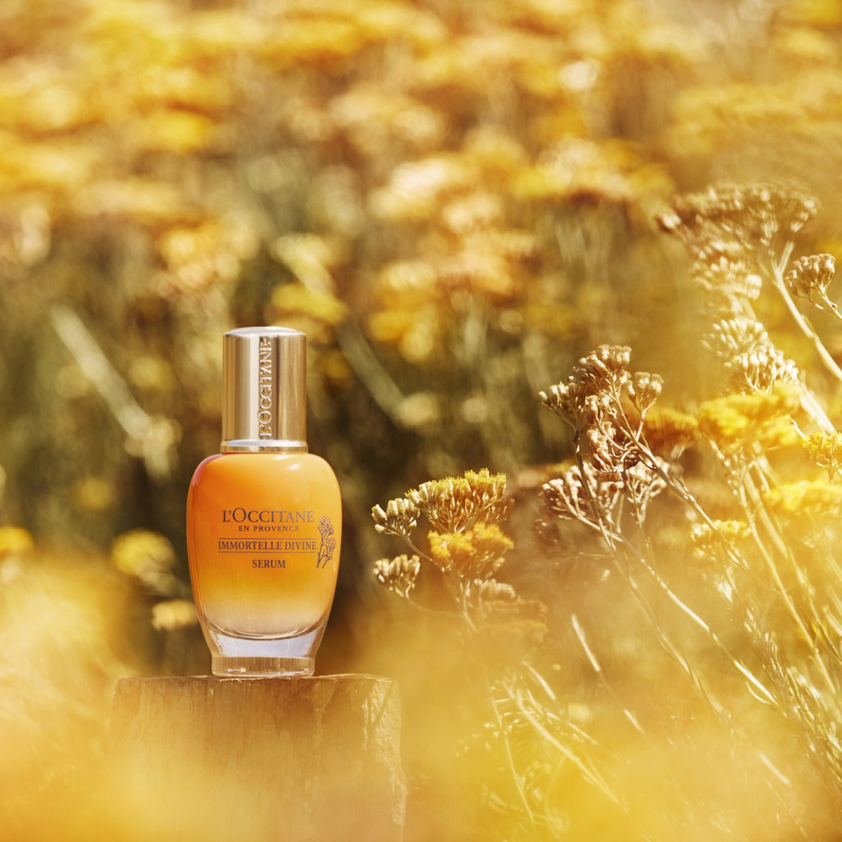 Serum Facial Divina Immortelle