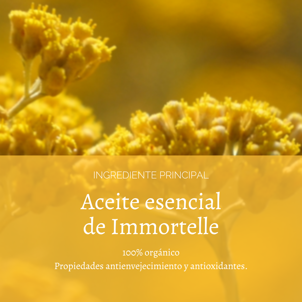 Emulsión Facial Preciosa Immortelle