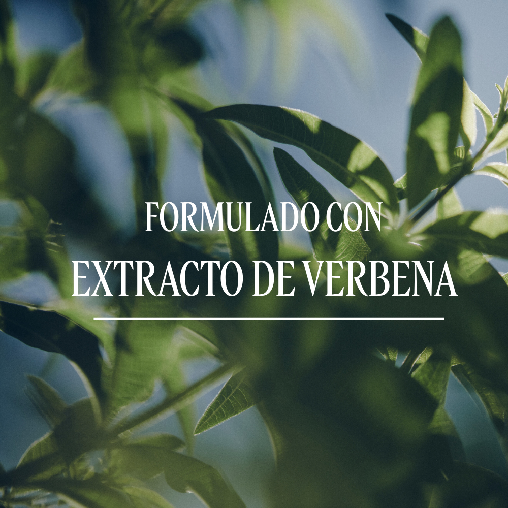 Extracto de Verbena, conocido por sus propiedades olfativas vigorizantes y refrescantes