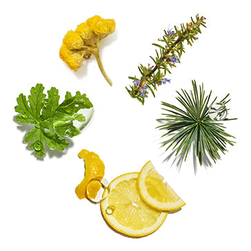  Featured Ingredient - L'Occitane