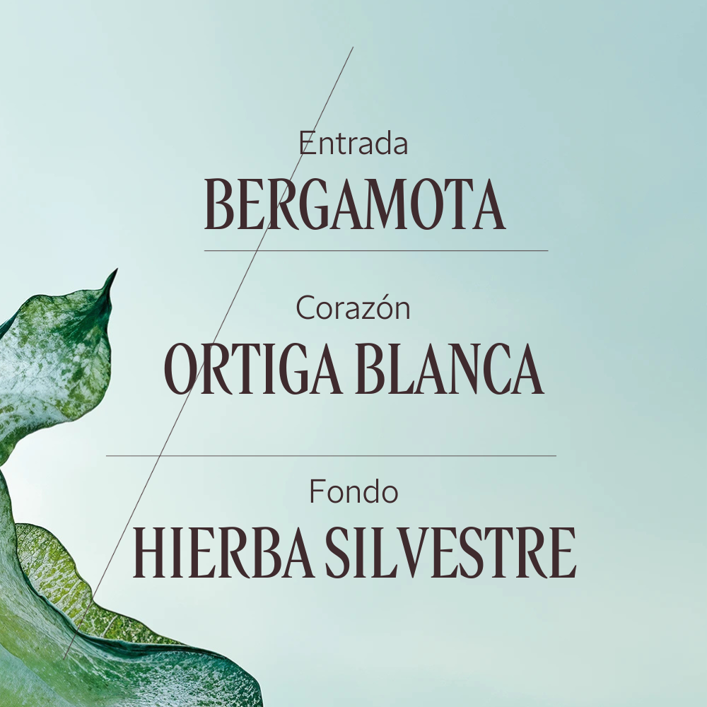 Eau de Parfum Ortie Blanche