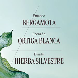 Eau de Parfum Ortie Blanche