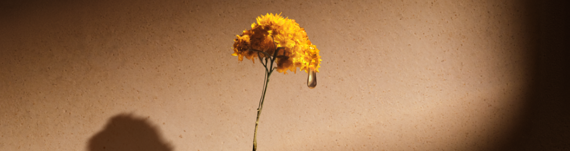 El Poder Immortelle