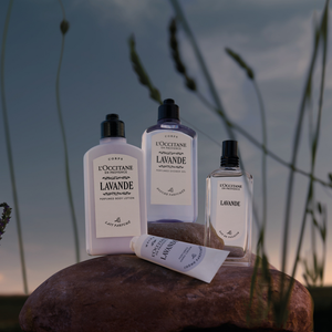 Eau de Toilette Lavanda LOccitane Chile