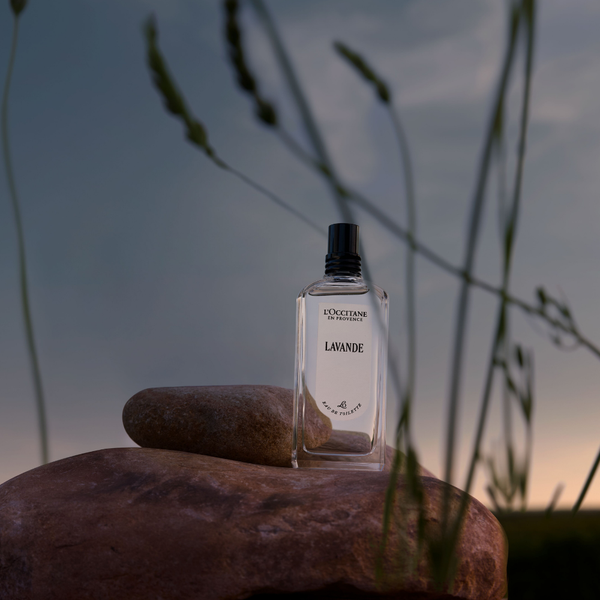 Eau de Toilette Lavanda LOccitane Chile