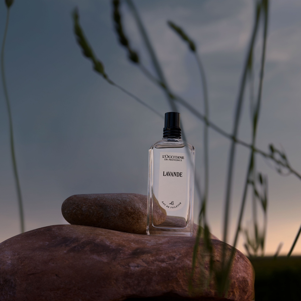 Eau de Toilette Lavanda LOccitane Chile
