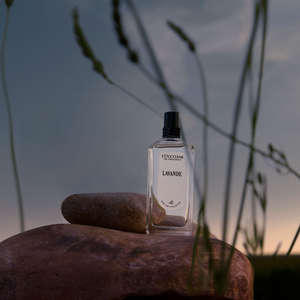 Eau de Toilette Lavanda LOccitane Chile