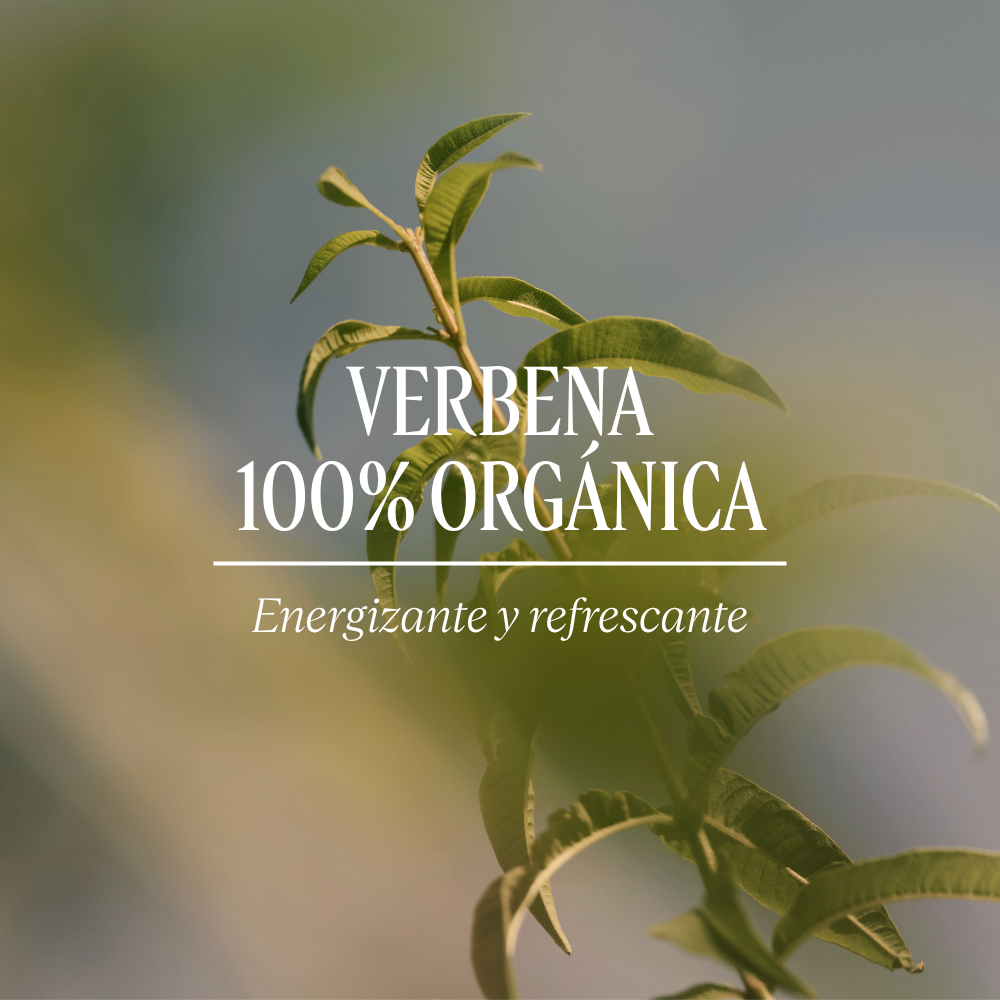 Crema de Manos Verbena Citrus LOccitane Chile
