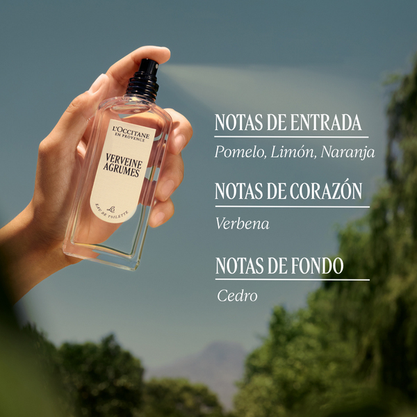 Eau de Toilette Verbena Citrus LOccitane Chile