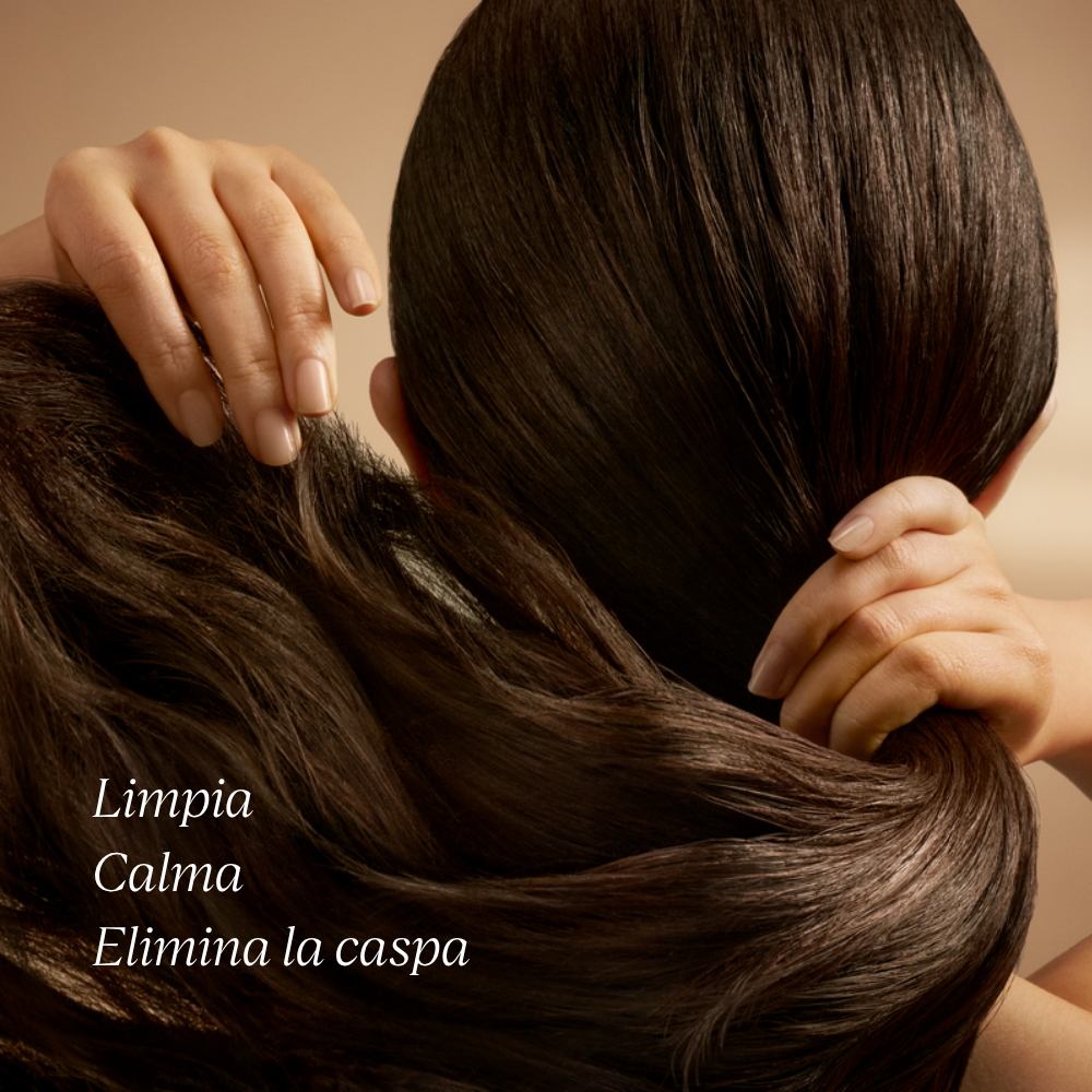 Beneficios Shampoo Anticaspa