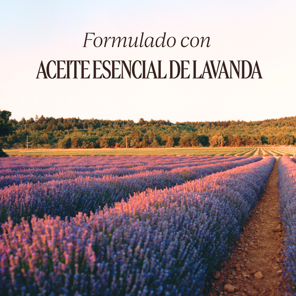 Aceite esencial de Lavanda