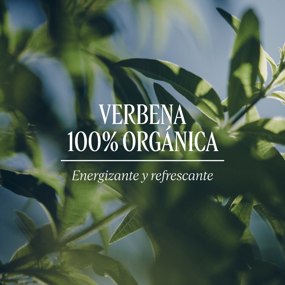 Eau de Toilette Verbena LOccitane Chile
