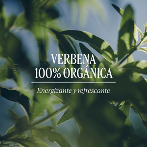 Eau de Toilette Verbena LOccitane Chile