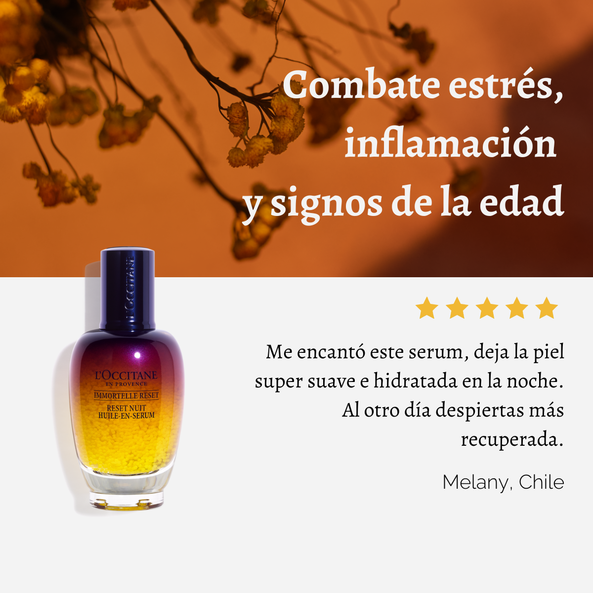 Serum Facial Overnight Reset Immortelle