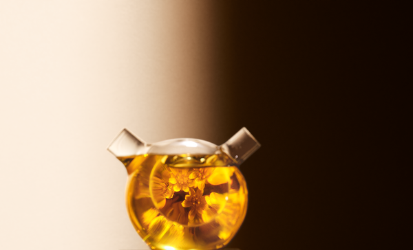 Super Extracto Immortelle
